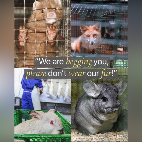 ๐๐งฅBUY PRE-OWNED ANIMAL PARTS & SAVE LIVES ๐ ๐ข - Picture 8 of 10